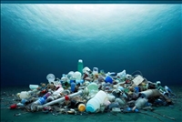 Environnement